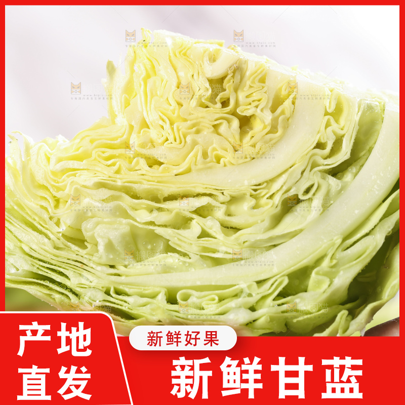 手里拿着洋白菜