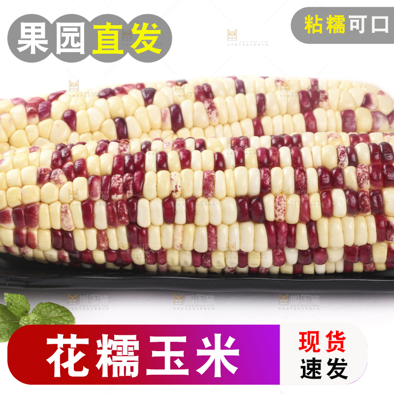 白底上放着一盘花糯玉米