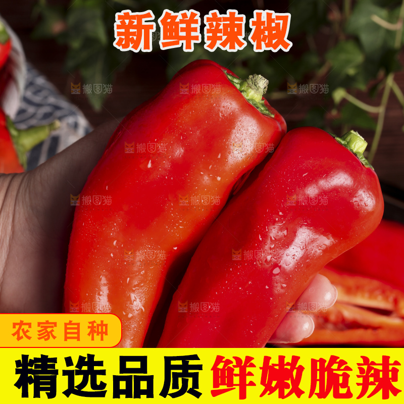 手里拿着新鲜红辣椒