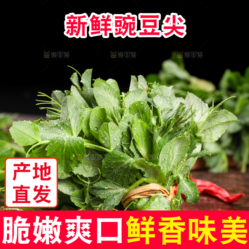 深底上的四川豌豆尖