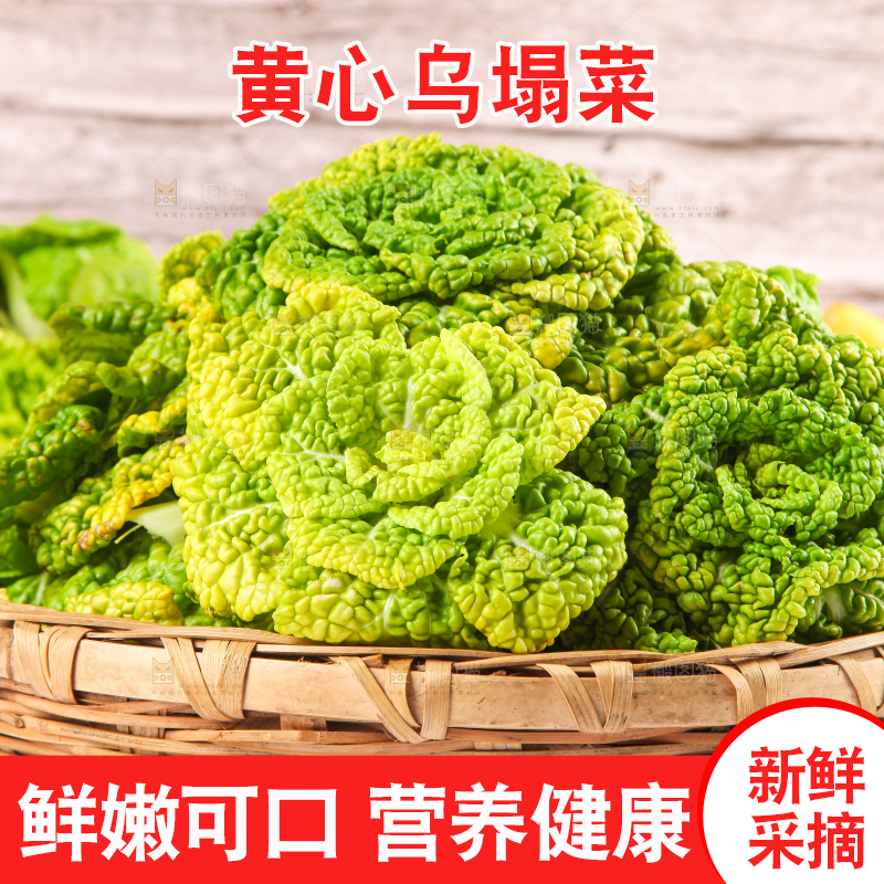 篮子里装着乌塌菜
