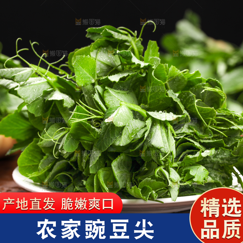 深底上的四川豌豆尖