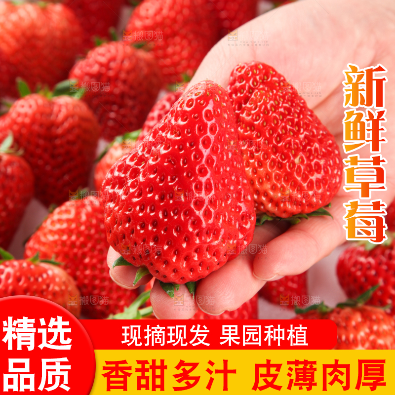 手里拿着新鲜草莓