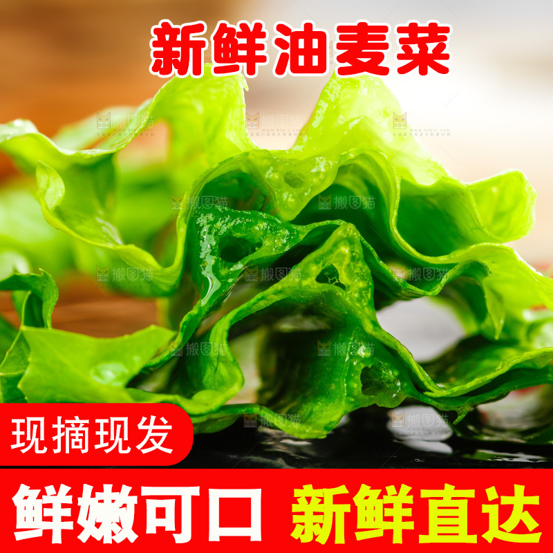 黑石板上放着新鲜油麦菜