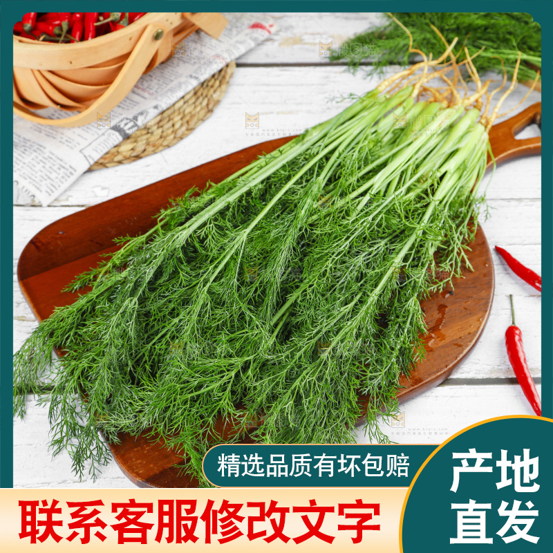 木底上的小茴香菜