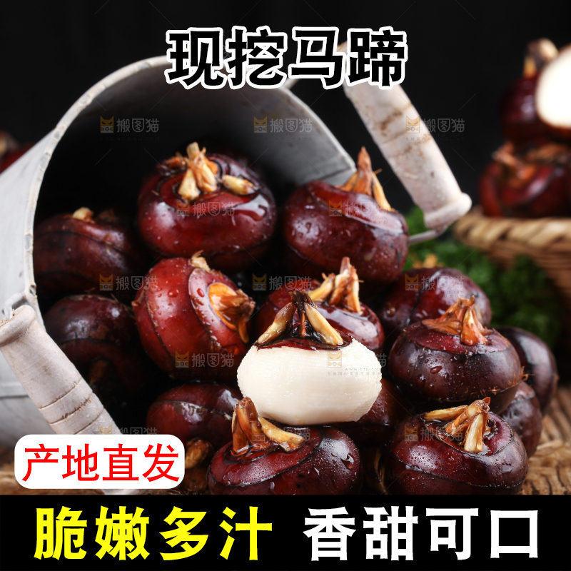 桶子里装着菩荠