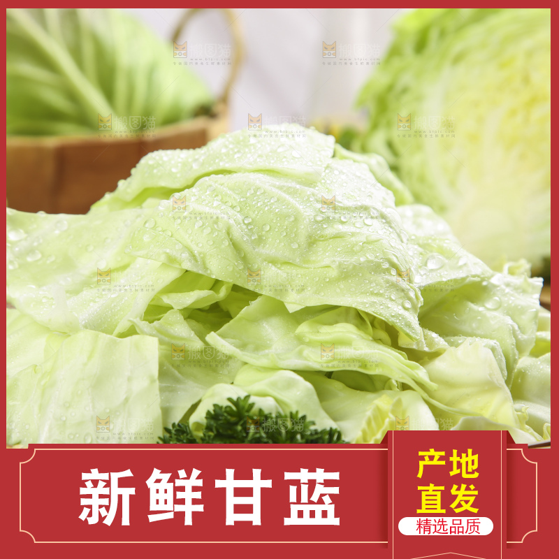 盘子里装着包心菜