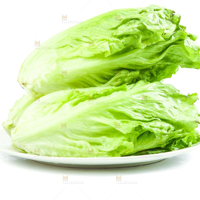 盘子里装着大叶生菜