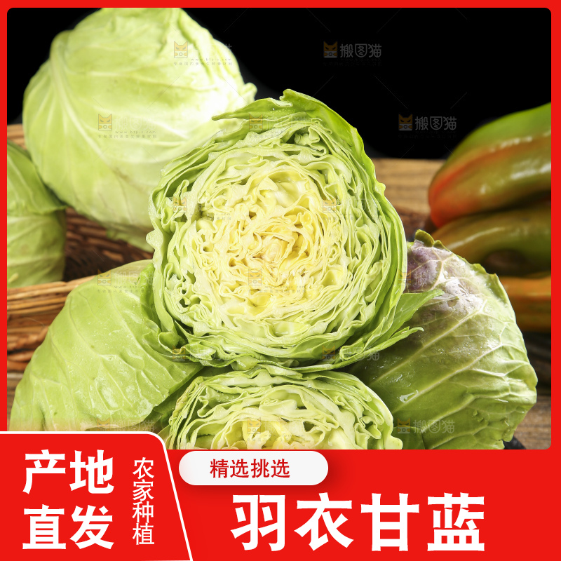 木板上摆放着卷心菜