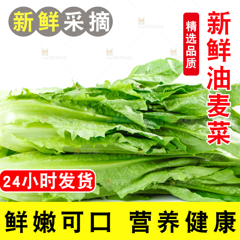 白底上放着油麦菜