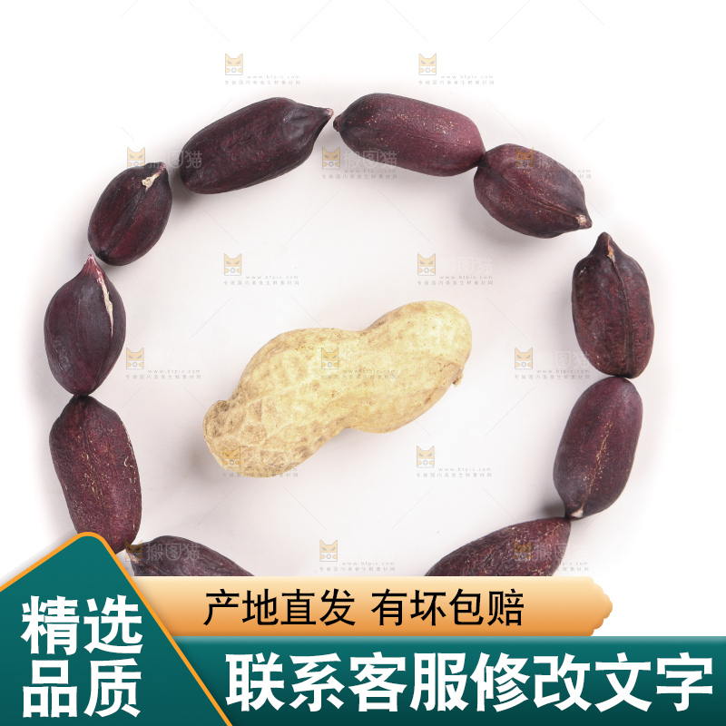 白底上的黑皮花生