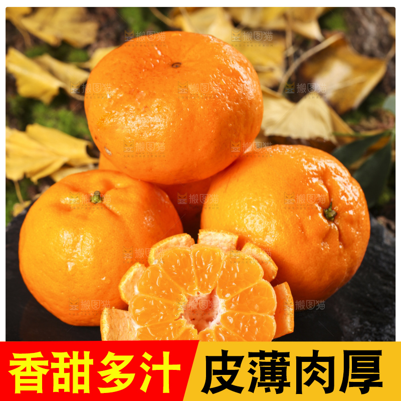 黑石板上的云南椪柑