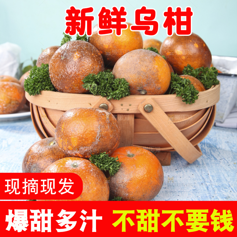 篮子里装着广西乌柑