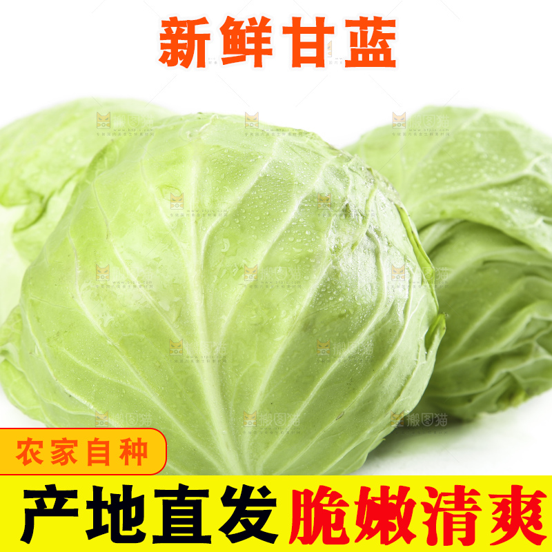 白底上摆放着包菜