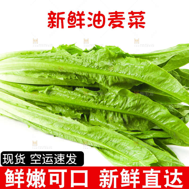 白底上的香麦菜