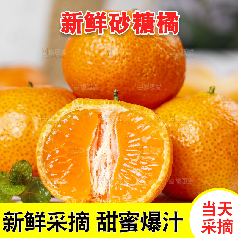 浅底上的广西砂糖橘