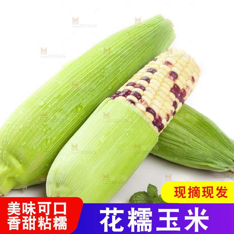 白底上的玉米