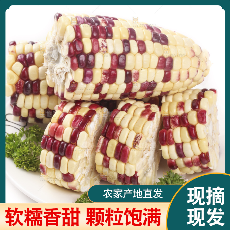 白底上放着一盘糯玉米
