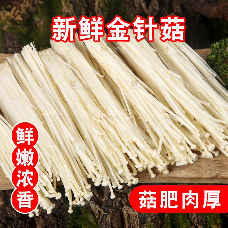 木底上的冬菇