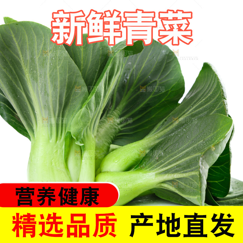 白底上放着青菜