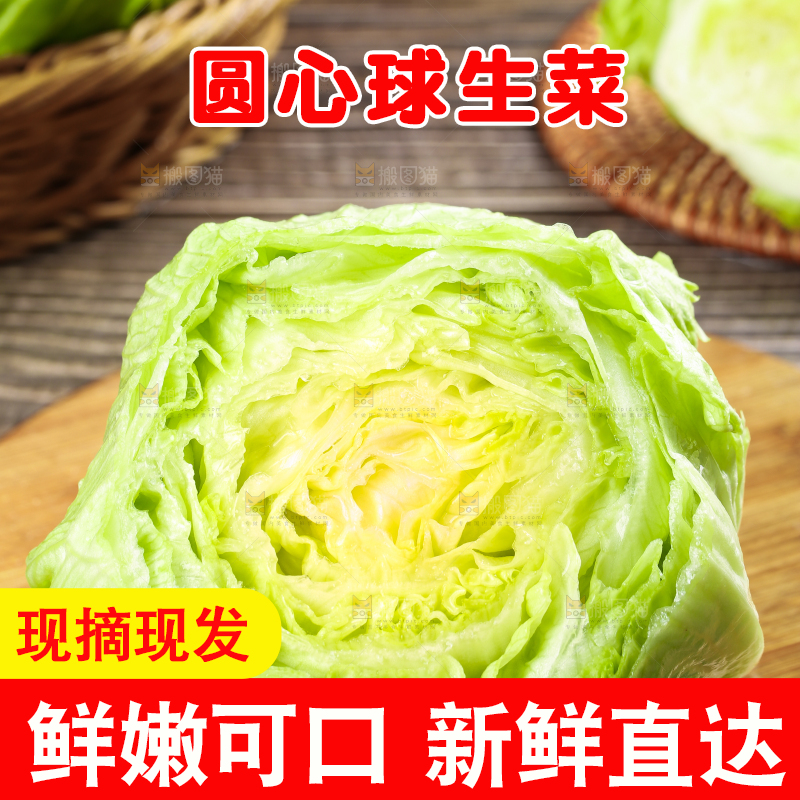 深底上的圆形生菜