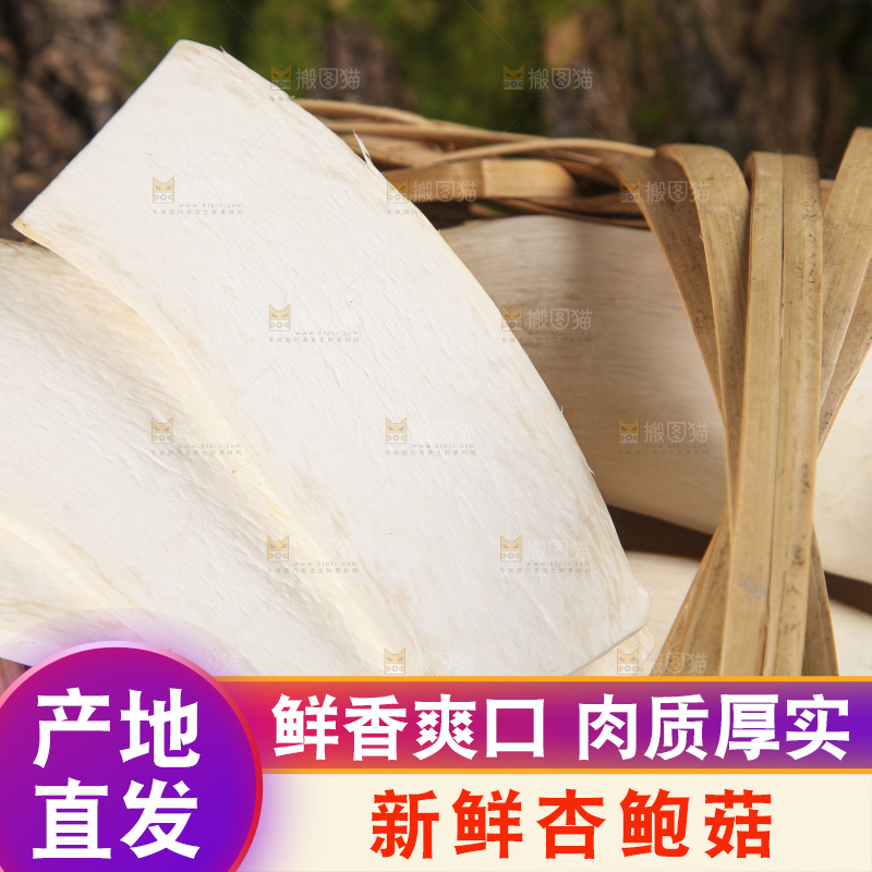 篮子里放着大鸡腿菇