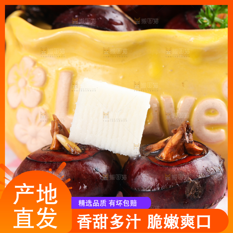 彩底上的马蹄果