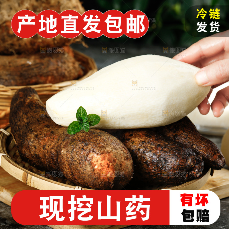 手里拿着糯米秤砣山药