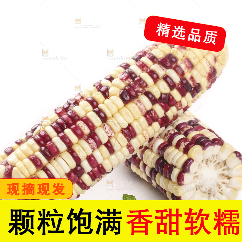 剥皮的花糯玉米放在白底上