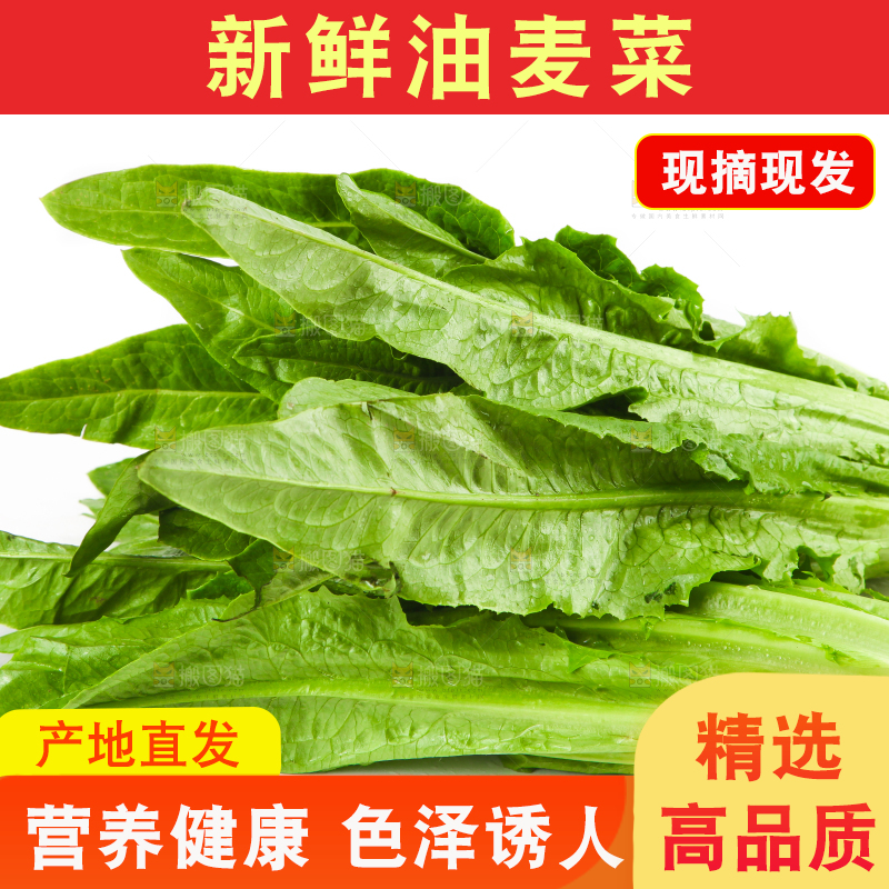 白底上的香麦菜