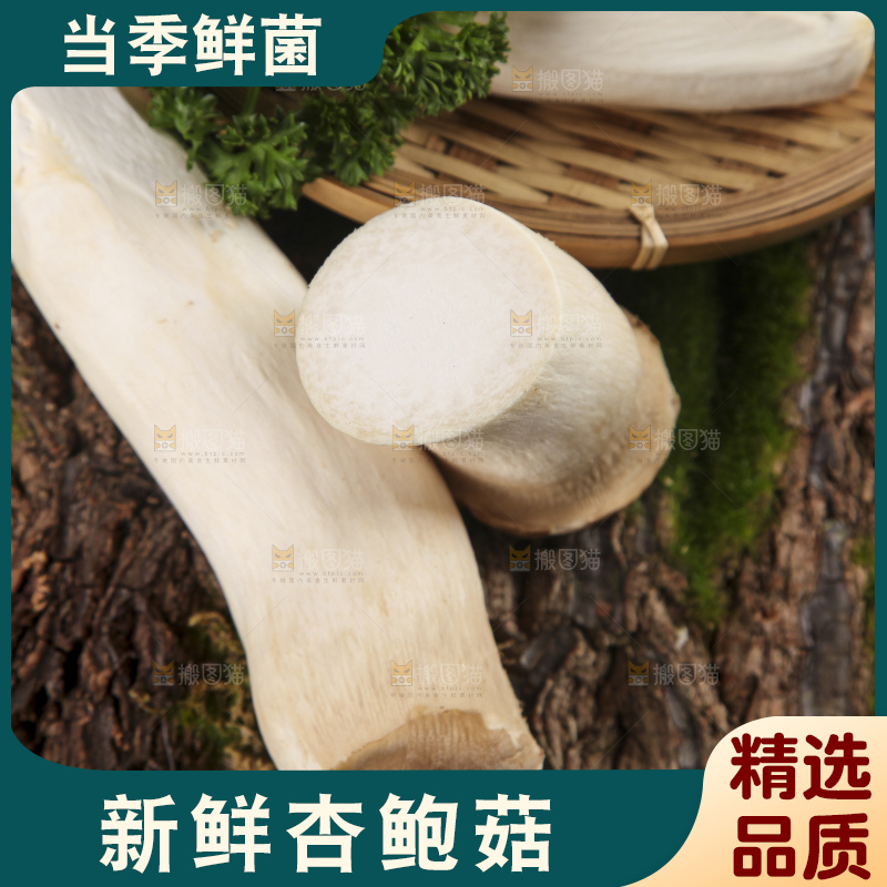 木底上的鸡腿菇