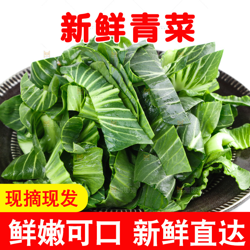 白底上放着青菜
