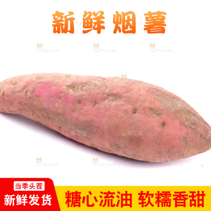 白底上蜜署