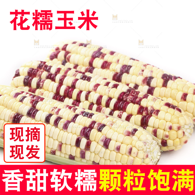 剥皮的花糯玉米放在白底上