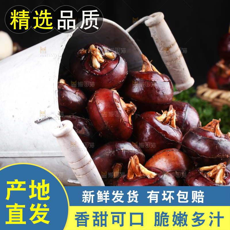桶子里装着菩荠