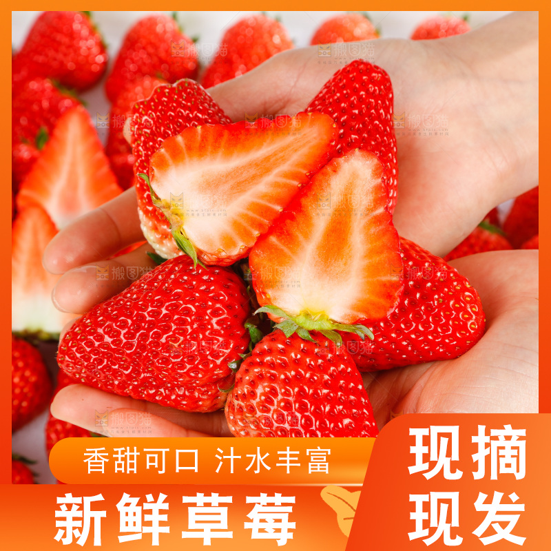 手里捧着草莓
