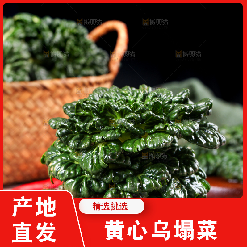 盘子里装着农家乌塌菜