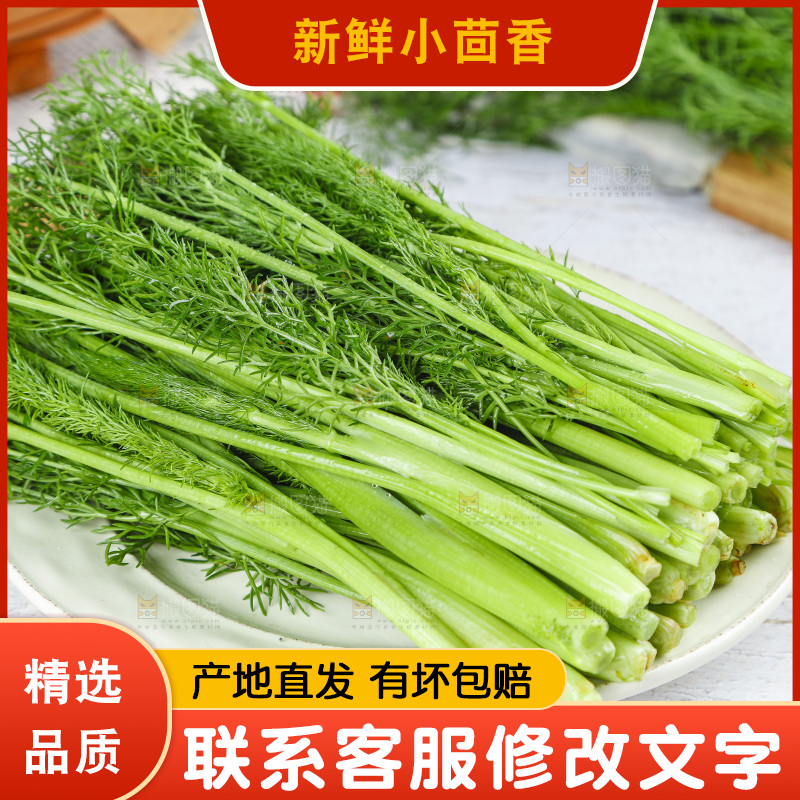 盘子里装着农家茴香菜