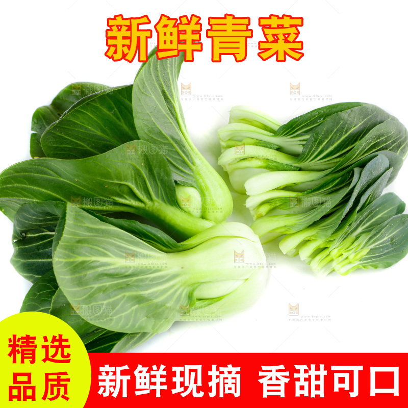 白底上放着青菜
