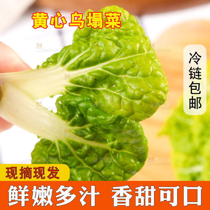 木板上放着新鲜乌塌菜