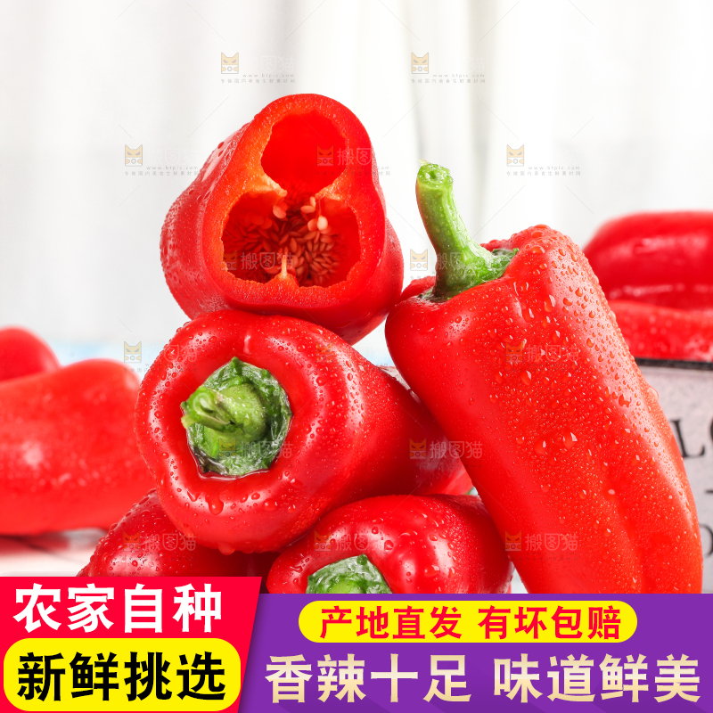 石板上的山东红辣椒