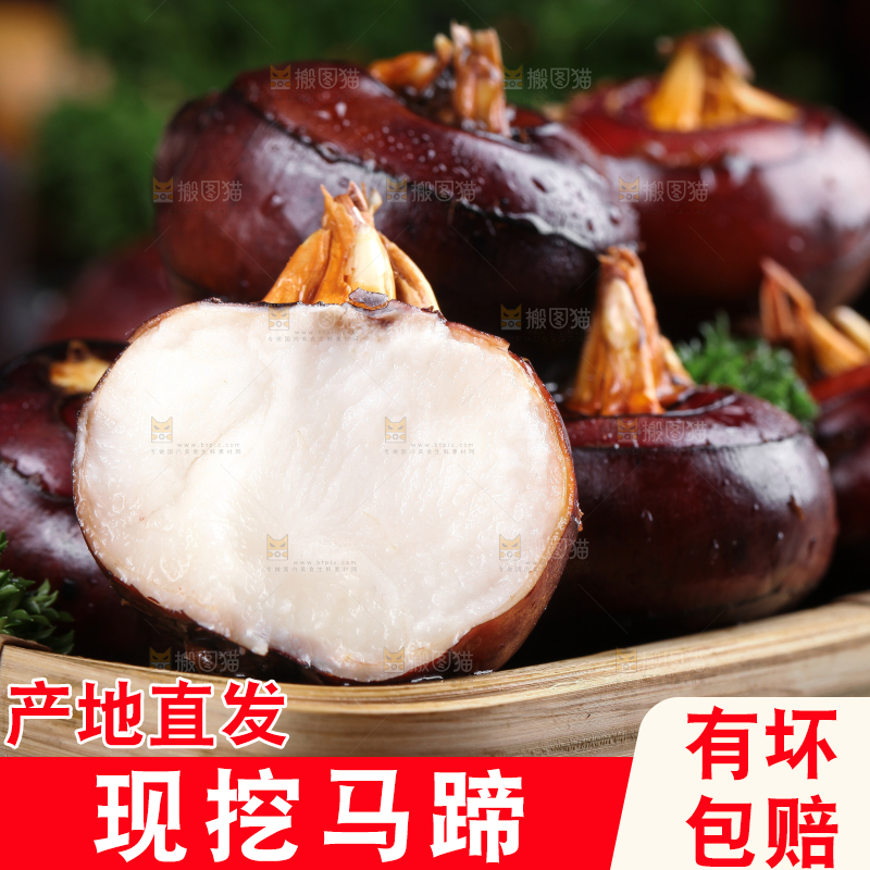 篮子里的红马蹄