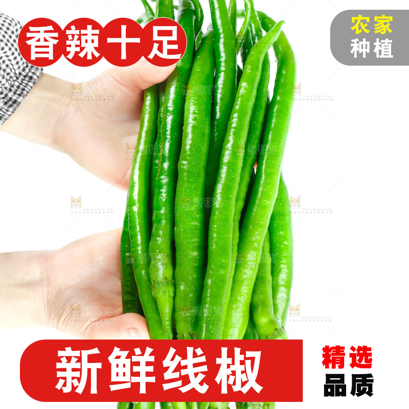 手里拿着二荆条辣椒