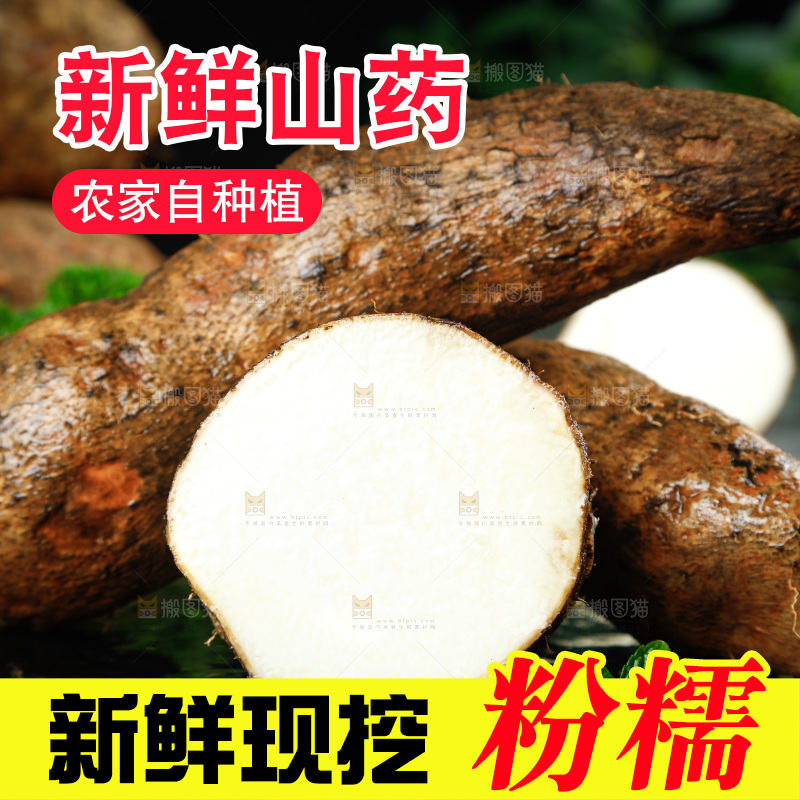 黑底上的金秤砣山药