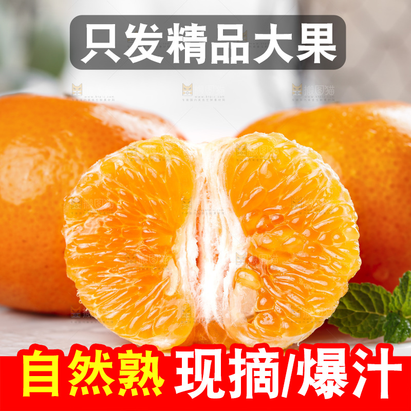 石板上的广西皇帝柑