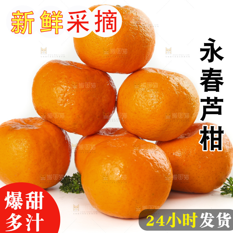 白底上摆放着福建永春芦柑