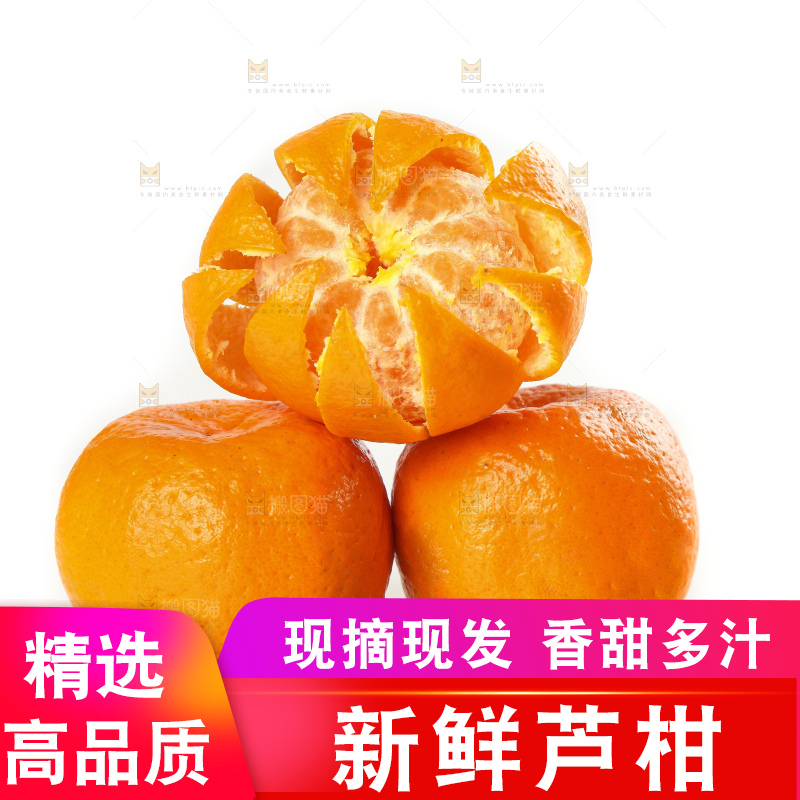 白底上的椪柑橘