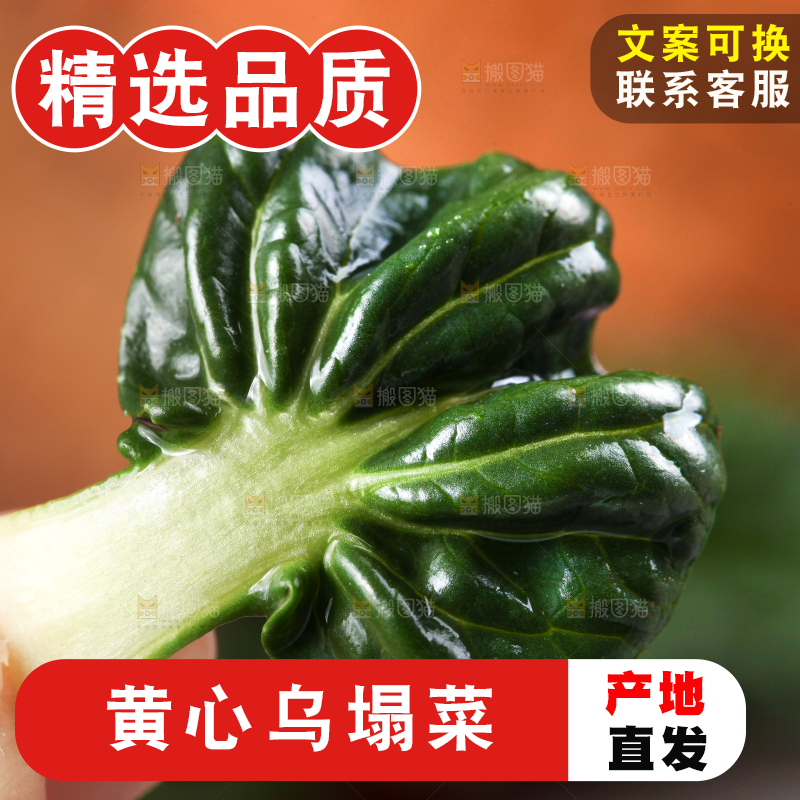 手里拿着青菜