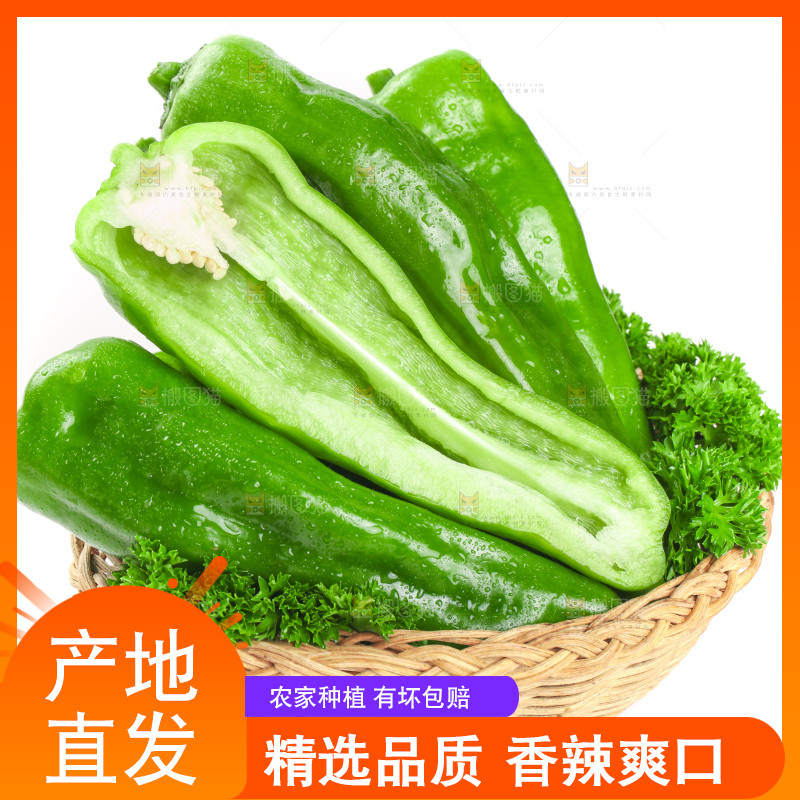 篮子里装着菜椒