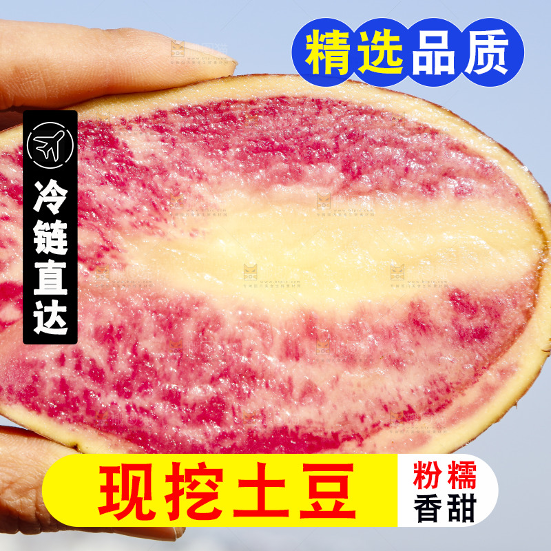 手里拿着丽江七彩土豆